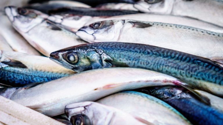 Avoid Eating Daily Fish