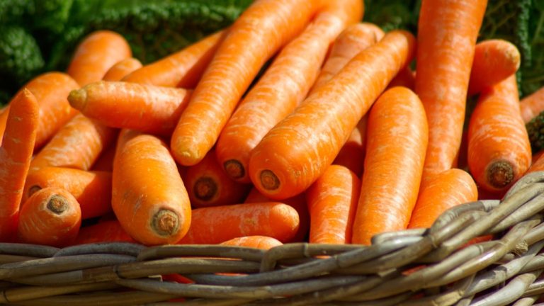 Eating Carrot will improve your Eyesight