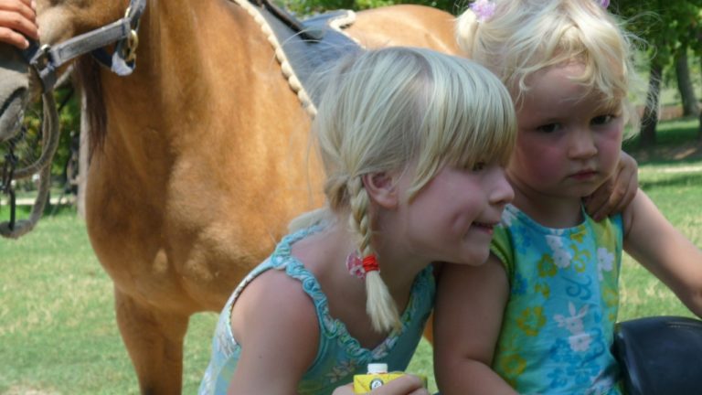 Dimples are genetically inherited