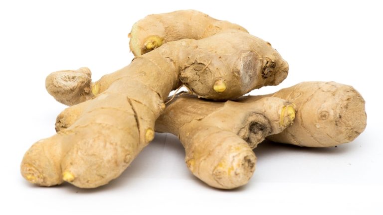 Ginger kills Ovarian & Prostate Cancer Cells