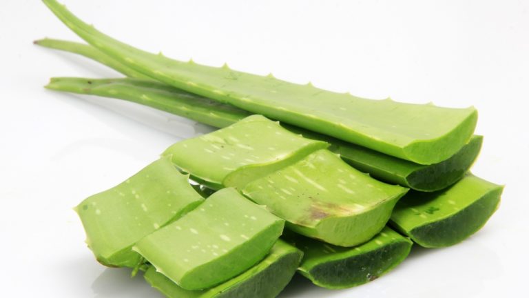 Aloe Juice helps to detoxify the liver and kidneys