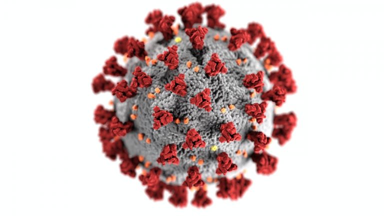 Corona virus (COVID-19): Home Care & Symptoms/Precautions/Treatments