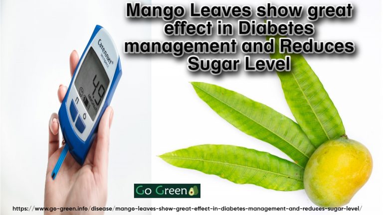 Mango Leaves show great effect in Diabetes management and Reduces Sugar Level