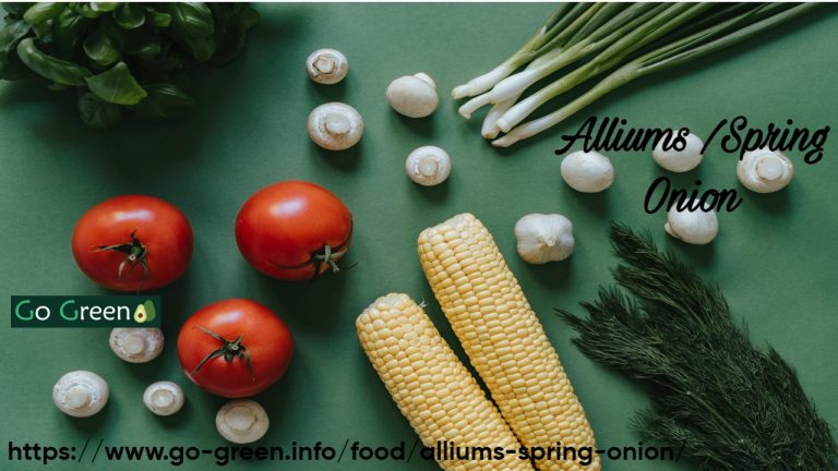 Alliums /Spring Onion