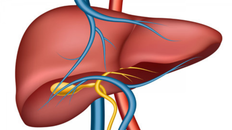 What Is The Best Way To Avoid Liver Damage?