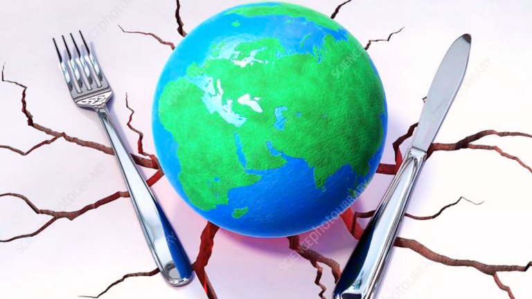 How Might Climate Change Impact Global Food Production and Distribution, and What Steps Can We Take to Ensure Food Security for Everyone?