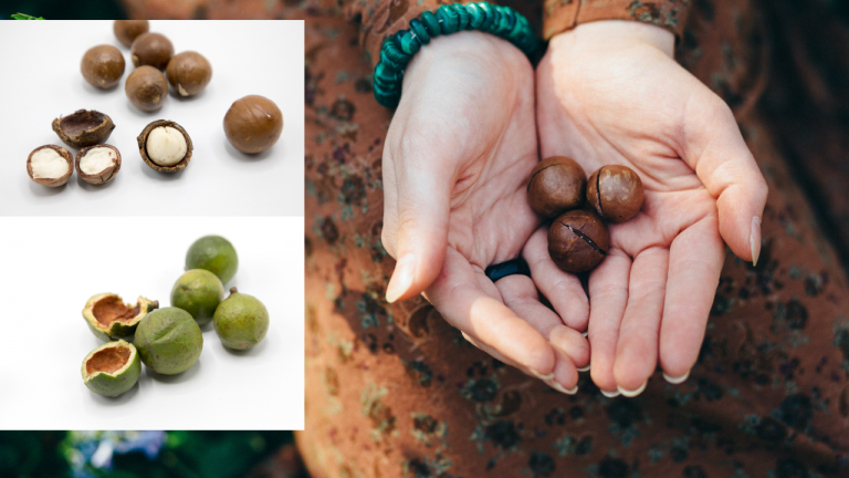 Is Eating 150g of Macadamias at Once Bad?