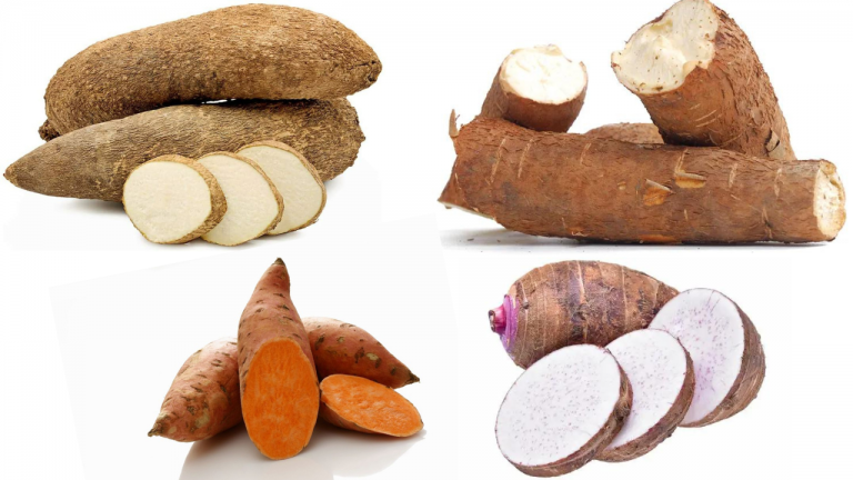 Benefits of Having Starchy Staple of Crops like Taro, Yams, Sweet Potatoes, Cassavas, Etc.?