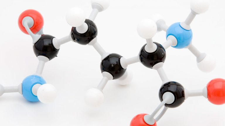 What is the Nutritional Difference Between Consuming Amino Acids and Consuming Proteins?