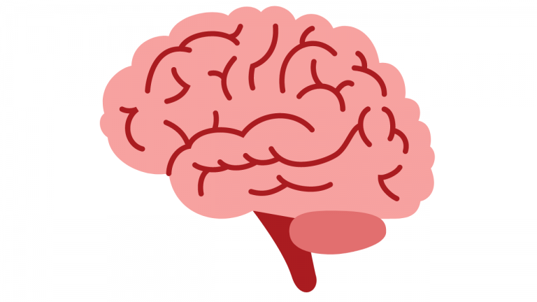 Brain Benefits From Nutrients