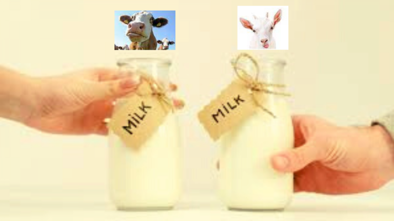 What are the Benefits of Consuming Goats’ Milk Versus Cows’ Milk?