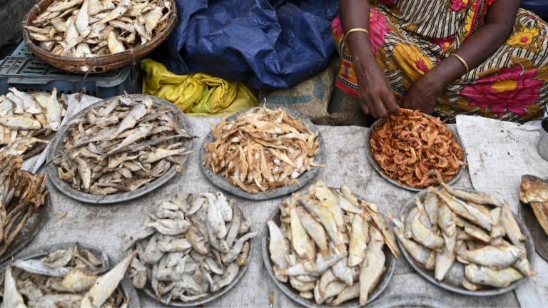 Which Compounds are Present in Dried Fish that can Cause stomach Cancer?