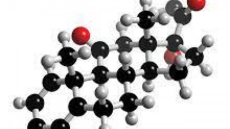 Why do Fats/Lipids Undergo Hydrolysis to Break Them Down to Fatty Acids Knowing That They are Considered Hydrophobic in Nature?