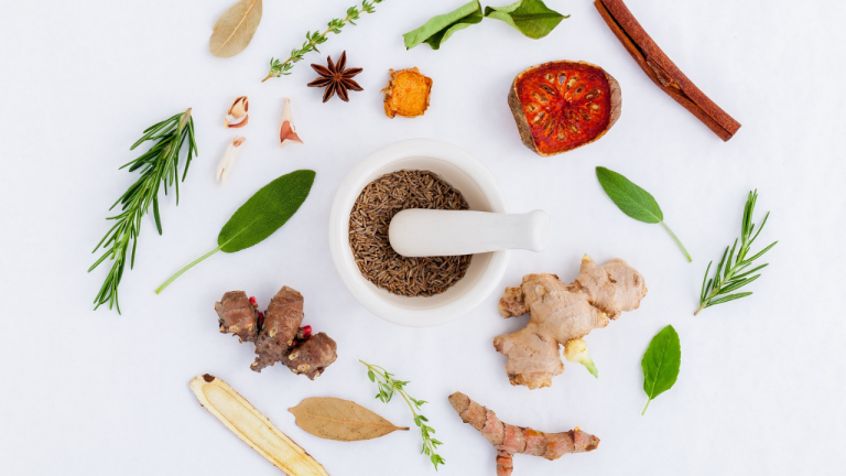 Confused Between Food Science and Nutrition?