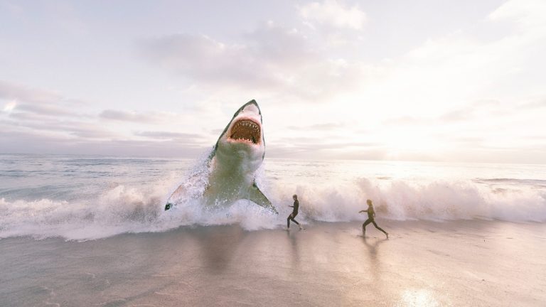 How did Whale Sharks Get so Big? What Kind of Food do They Eat to Sustain Themselves?