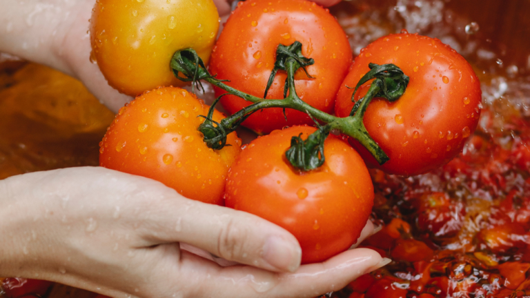 Importance of Being Hygienic in Food Handling?