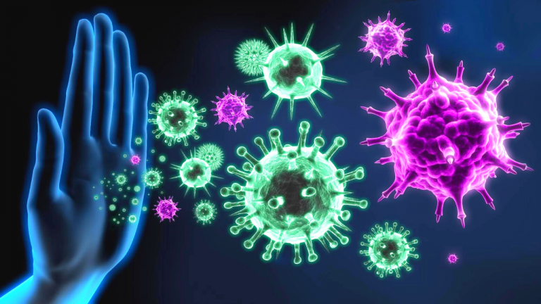 How Does Nutrition Affect the Immune System, and What Foods are Most Beneficial for Immunity?