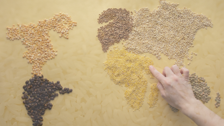 What is the Difference Between Millets and White Rice? Which One Good For Health?