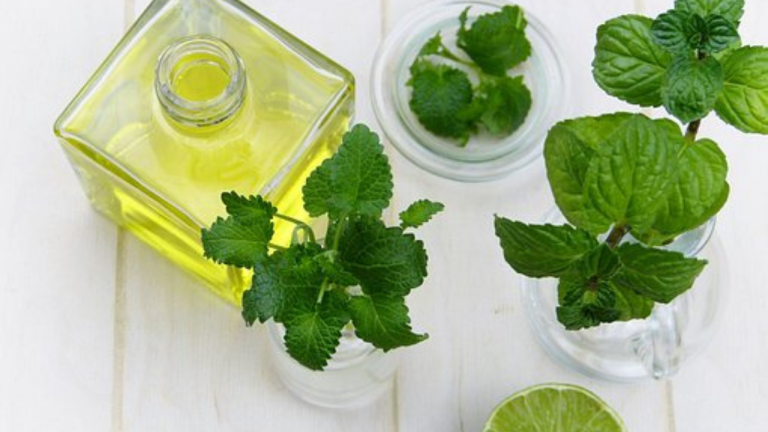 What is the Difference Between Mint and Melissa?