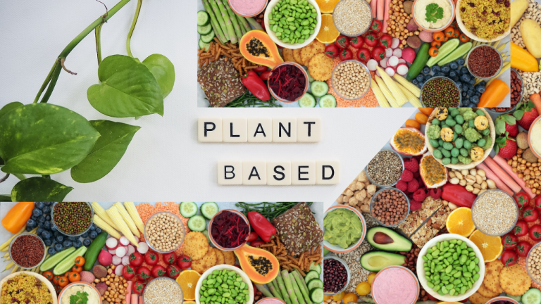 What are Some of the Benefits of Eating a Plant – Based Diet?