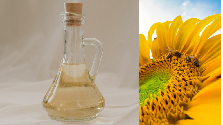 Sunflower oil Healthy or Not?