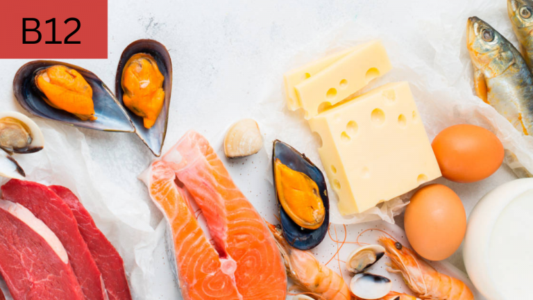 Do Humans Need to Eat Animals in Order to Get Enough Vitamin B12, or Can They Survive on a Plant-Based Diet?