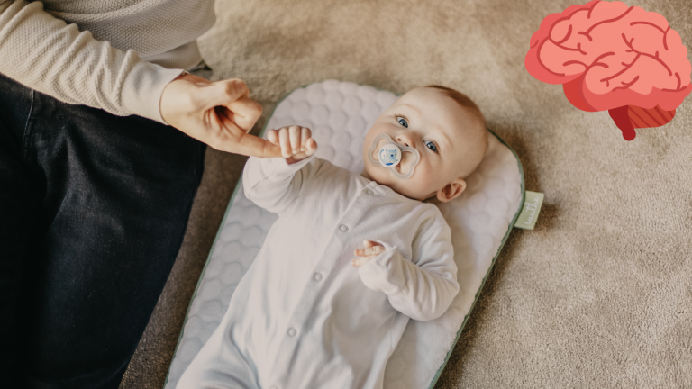 Brain Development During Infancy