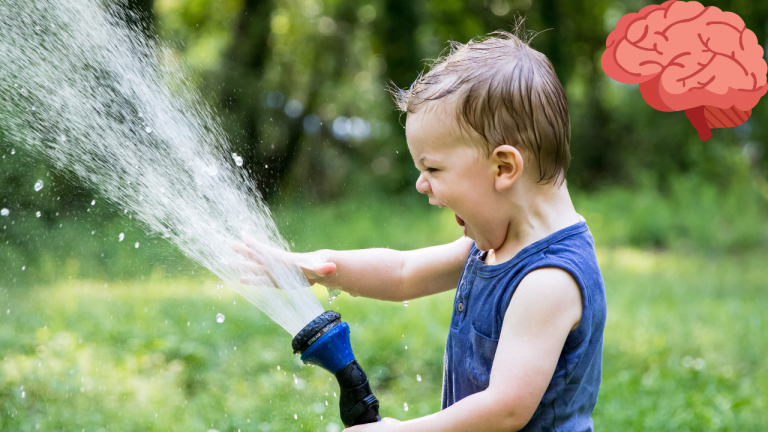 Brain Development During Toddlerhood