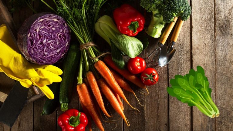 Which Vegetable Has The Most Nutrients?