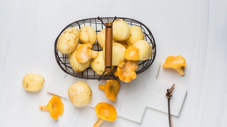 Potatoes a Good Source For The Production of Ethanol?