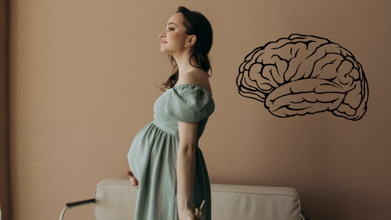 Child’s Brain Development During Pregnancy