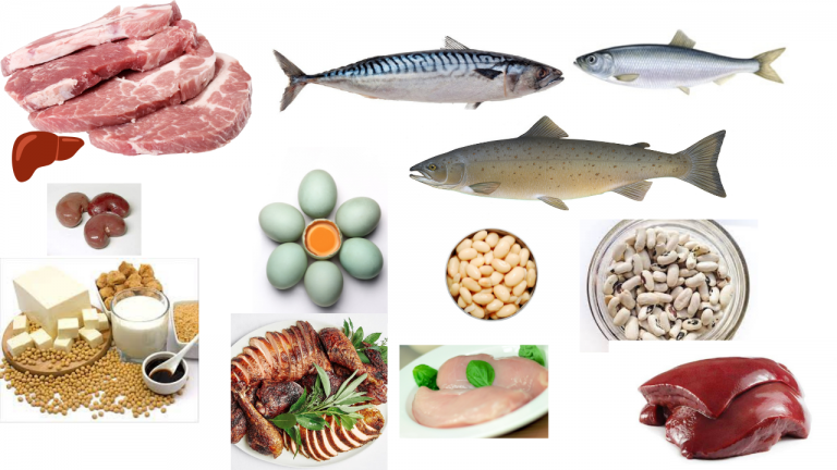 What are the Foods of Phosphatidylserine?