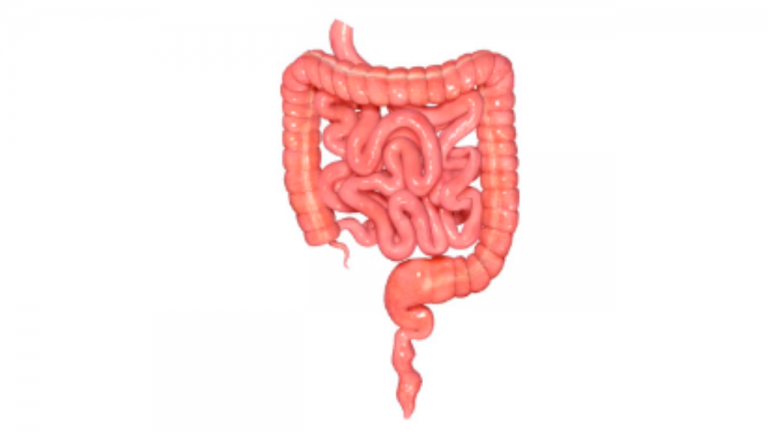 How do Gut Bacteria Affect Your Overall Health, and What are Some Ways to Improve Your Gut Health?