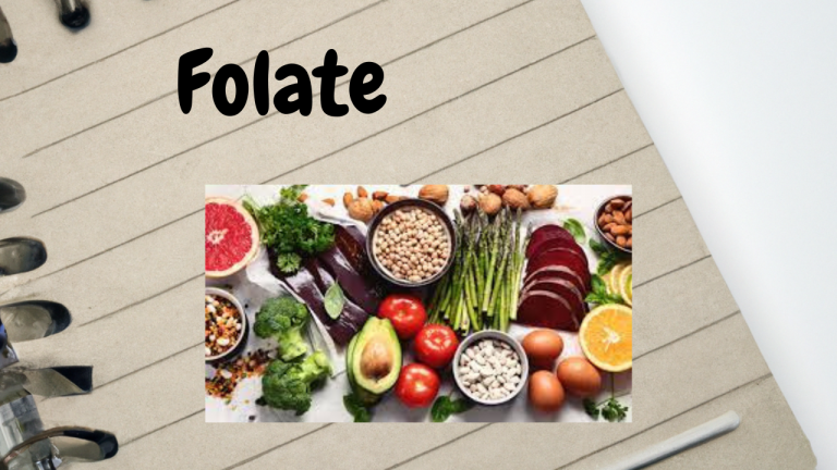 Importance of Folate