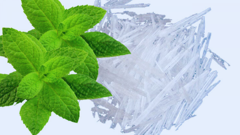 Why Cooling Effect From Menthol / Camphor Powder Last Less Than 5 Minutes? How to Make the Cooling Effect Last Longer?