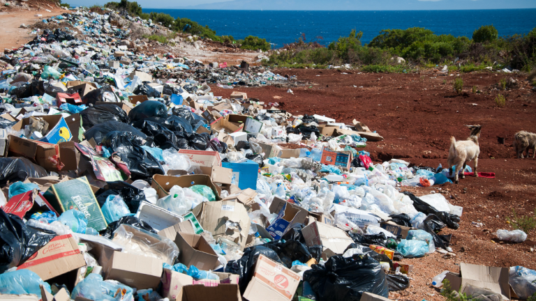 How Can We Live a Healthy Life in an Unhealthy Environment?