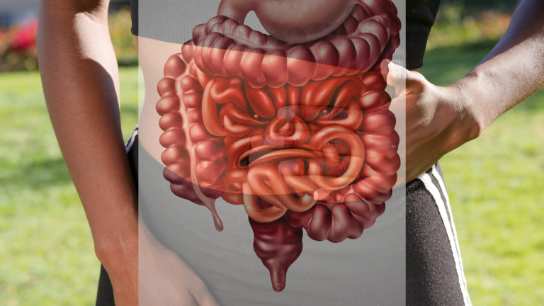 Unhealthy Gut Flora is a Major Problem of IBS, then How do I Get Healthy gut Flora?
