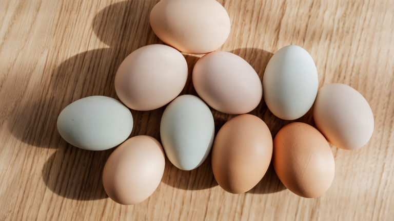 Why are Eggs Different Colors, and Does it Affect Their Nutritional Value?