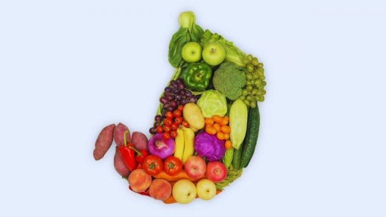 Maintaining a Healthy Digestive System