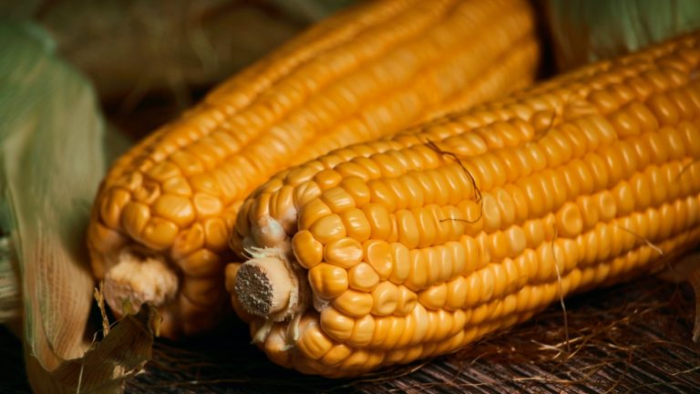 Should Corn (Sweetcorn/Maize) be Counted as a Vegetable Portion or as a Cereal Grain?