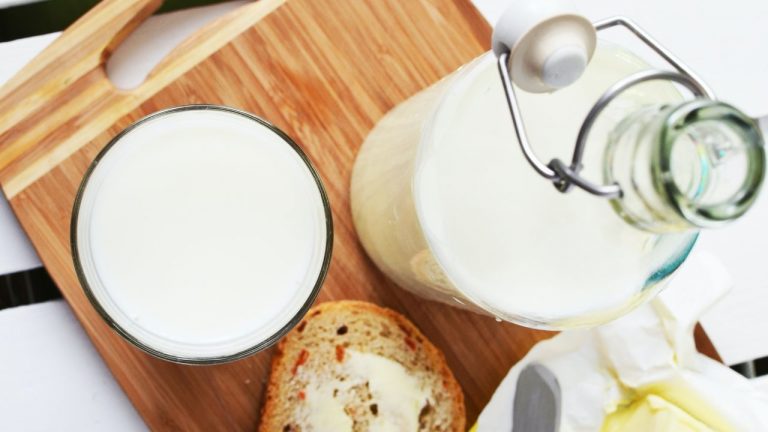 Plant Milk vs. Dairy Milk: Which is Better for Weight Loss?