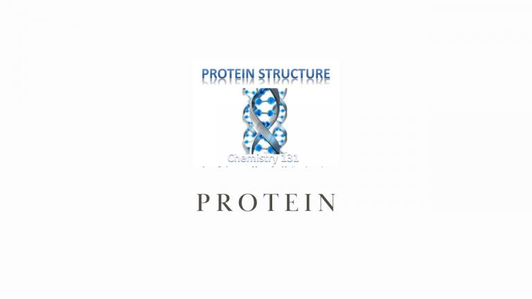 What are Some Common Misconceptions About Protein and its Effects on the Body When I Eat Protein?