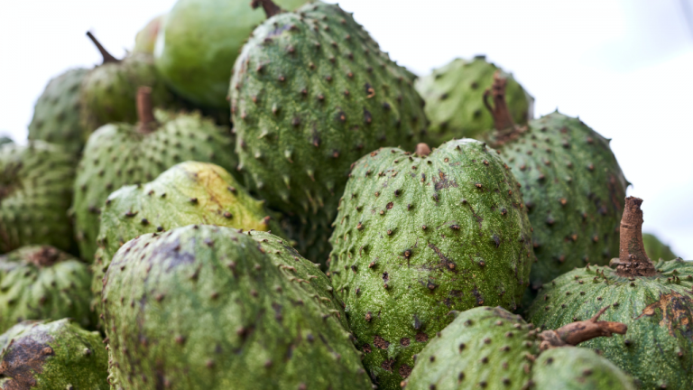 What are the Health Benefits of Soursop Fruit?