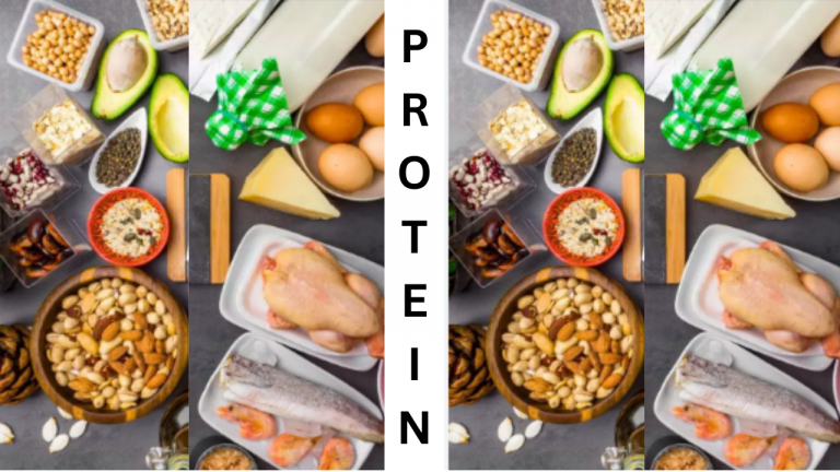 What are the Highest Protein Enriched Foods?