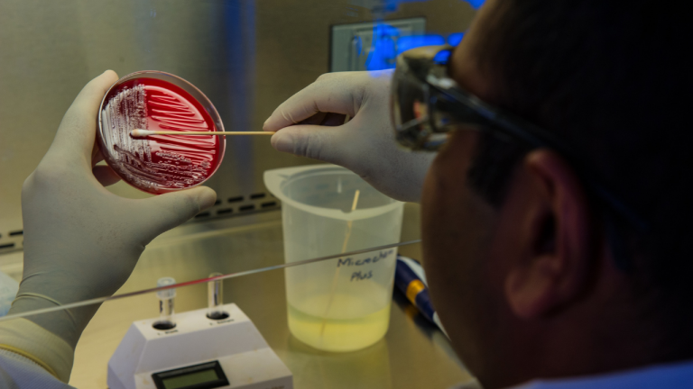 How Can We Test for Heavy Metal Content In Our Food?