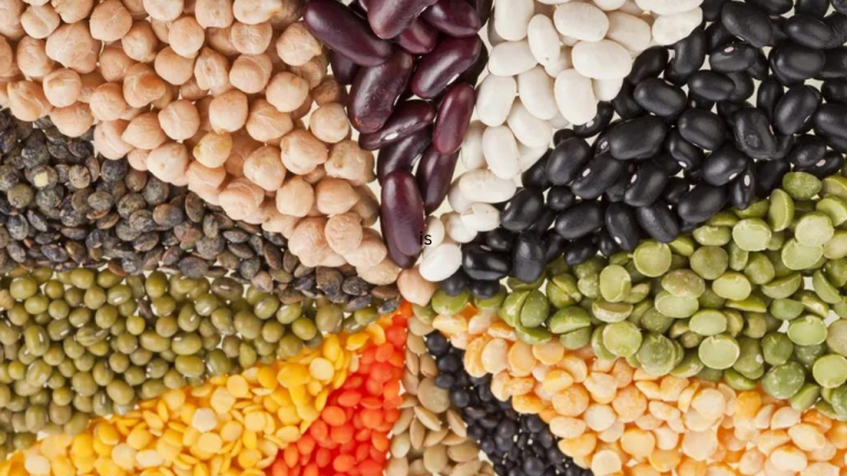 Benefits of Beans and Legumes