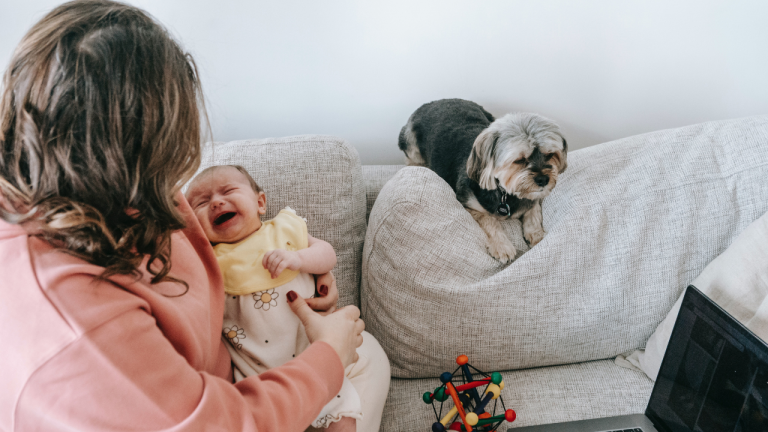 Treatment For Colic Infant