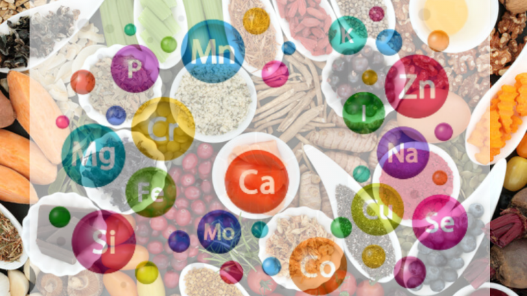 Which Food Has More Micro Nutrients?