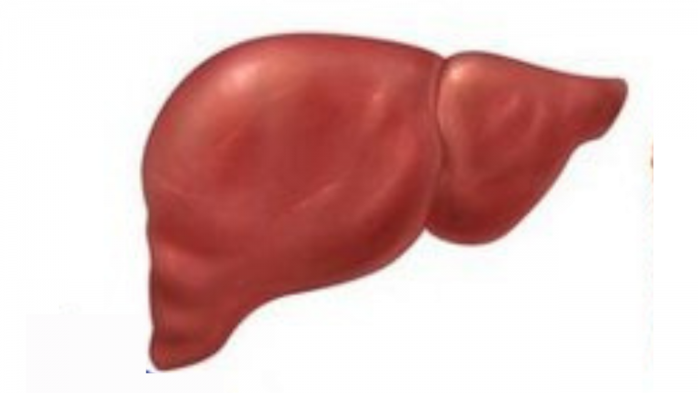 Which Fruit is Not Good For The Liver?