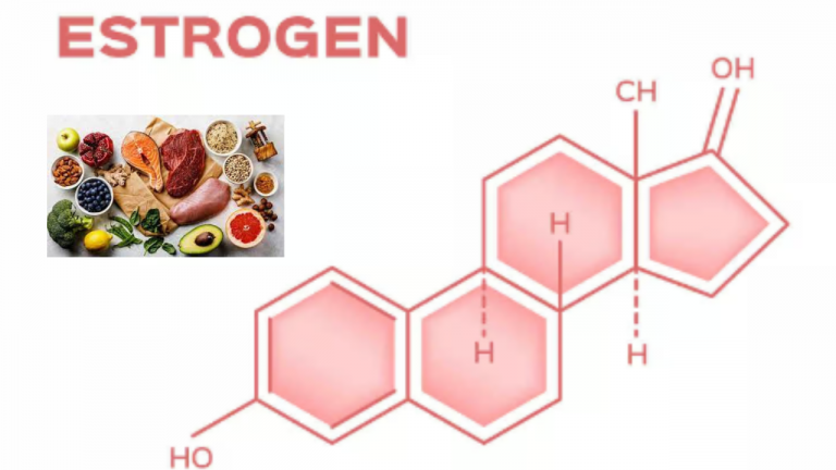 Do Plant-Based Estrogens Increase Estrogen Levels Less So Than Animal-Based Estrogens?